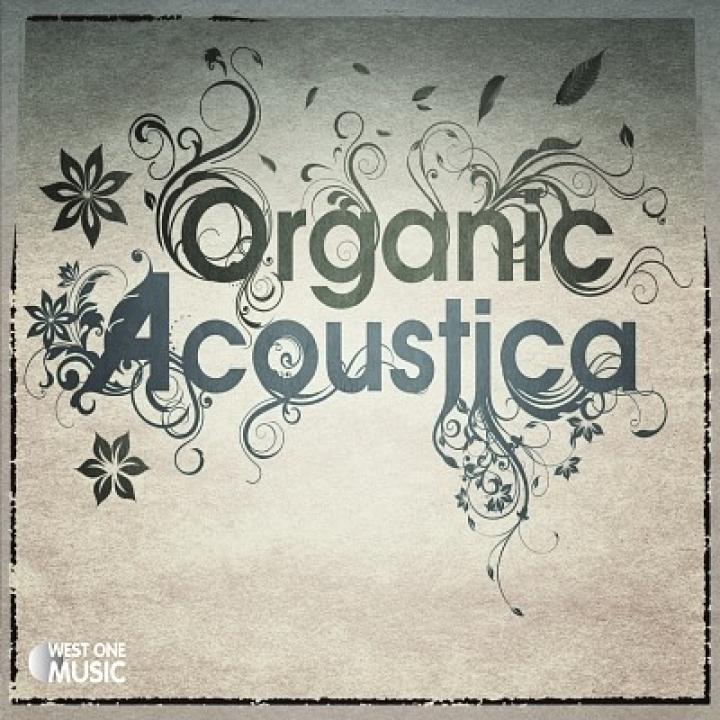 Album Artwork